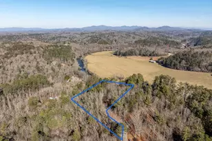 517 Ridge Rd, Blue Ridge, GA 30513 - Photo 54