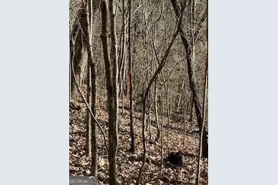 1918 Creekstone Lane, Young Harris, GA 30582 - Photo 12