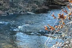 1918 Creekstone Ln, Young Harris, GA 30582 - Photo 1