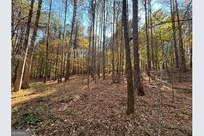 0 Heidi Trl Lot 10, Buckhead, GA 30625 - Photo 16
