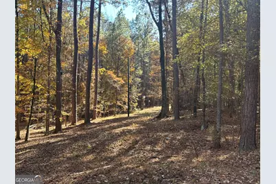 0 Heidi Trl Lot 10, Buckhead, GA 30625 - Photo 12