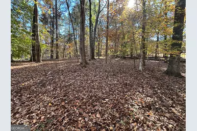 0 Heidi Trl Lot 10, Buckhead, GA 30625 - Photo 10