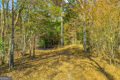 23824 Ga Highway 22, Sparta, GA 31087 - Photo 80