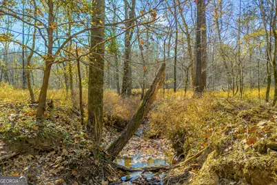 23824 Ga Highway 22, Sparta, GA 31087 - Photo 88