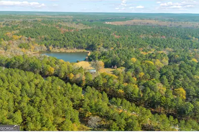 23824 Ga Highway 22, Sparta, GA 31087 - Photo 56