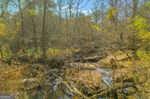 23824 Ga Hwy 22, Sparta, GA 31087 - Photo 86