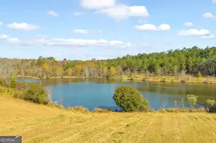 23824 Ga Hwy 22, Sparta, GA 31087 - Photo 4