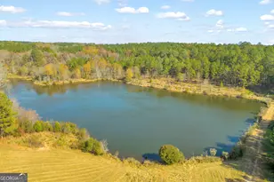 23824 Ga Hwy 22, Sparta, GA 31087 - Photo 92