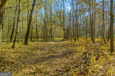 23824 Ga Highway 22, Sparta, GA 31087 - Photo 90