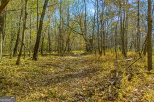 23824 Ga Hwy 22, Sparta, GA 31087 - Photo 90