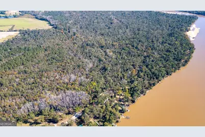0 Grays Landing Road, Uvalda, GA 30473 - Photo 6
