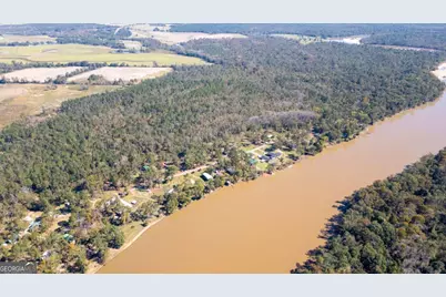 0 Grays Landing Road, Uvalda, GA 30473 - Photo 8