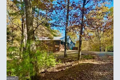 156 Peter Knob Road, Blue Ridge, GA 30513 - Photo 26