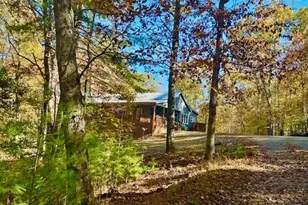 156 Peter Knob Rd, Blue Ridge, GA 30513 - Photo 26