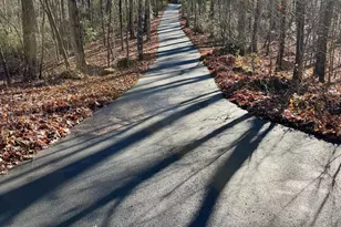 1056 Sweetwater Dr, Clarkesville, GA 30523 - Photo 2