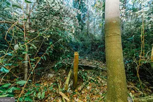 6368 Old Forsyth Rd, Macon, GA 31210 - Photo 62