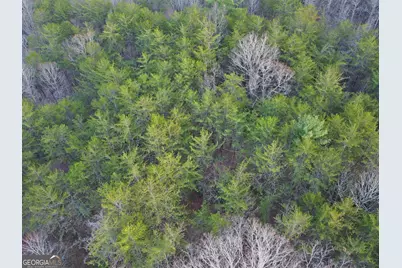 2372 Humphrey Mill Road, Mineral Bluff, GA 30559 - Photo 40