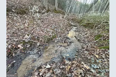 2372 Humphrey Mill Road, Mineral Bluff, GA 30559 - Photo 10