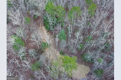 2372 Humphrey Mill Road, Mineral Bluff, GA 30559 - Photo 36