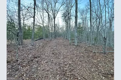 2372 Humphrey Mill Road, Mineral Bluff, GA 30559 - Photo 26