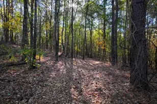 1100 Sapp Rd, Dry Branch, GA 31020 - Photo 48