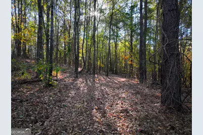 1100 Sapp Road, Dry Branch, GA 31020 - Photo 48