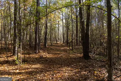 1100 Sapp Road, Dry Branch, GA 31020 - Photo 42