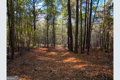 1100 Sapp Road, Dry Branch, GA 31020 - Photo 38