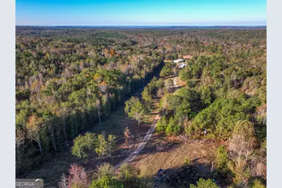 1100 Sapp Road, Dry Branch, GA 31020 - Photo 40