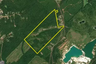 1100 Sapp Rd, Dry Branch, GA 31020 - Photo 52