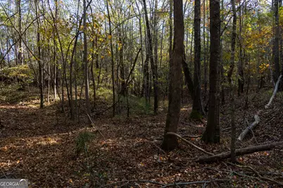 1100 Sapp Road, Dry Branch, GA 31020 - Photo 46