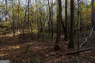 1100 Sapp Rd, Dry Branch, GA 31020 - Photo 46