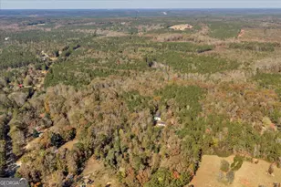 1663 Smith Rd, Forsyth, GA 31029 - Photo 40