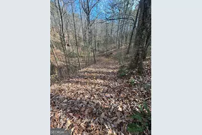 0 Amaryllis Lane, Tiger, GA 30576 - Photo 6