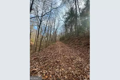 0 Amaryllis Lane, Tiger, GA 30576 - Photo 4