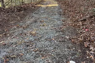 0 Amaryllis Ln, Tiger, GA 30576 - Photo 1