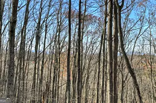 22 Running Bear Ridge Rd, Blue Ridge, GA 30513 - Photo 8