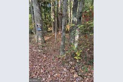 3604 Memorial Parkway NW, Kennesaw, GA 30152 - Photo 4