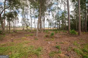 481 Eagle Blvd, Kingsland, GA 31548 - Photo 4