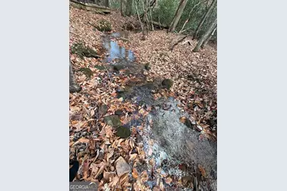 Lot A Magnums Trail #A, Blue Ridge, GA 30513 - Photo 10