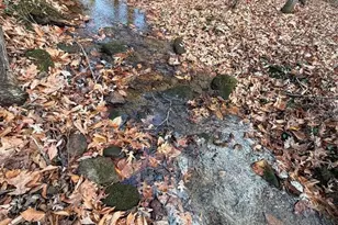 Lot A Magnums Trail, Blue Ridge, GA 30513 - Photo 10