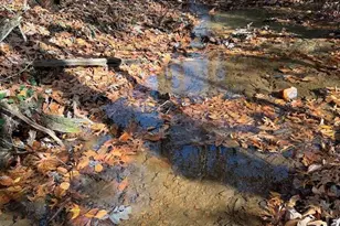 Lot A Magnums Trail, Blue Ridge, GA 30513 - Photo 36