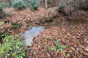 Lot A Magnums Trail, Blue Ridge, GA 30513 - Photo 22