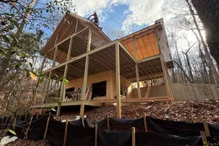 Lot A Magnums Trail, Blue Ridge, GA 30513 - Photo 4