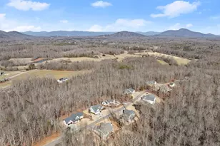 178 Samson Wy, Cleveland, GA 30528 - Photo 46