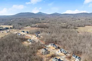 178 Samson Wy, Cleveland, GA 30528 - Photo 48