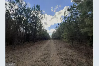 0 Thomas Road, Millen, GA 30442 - Photo 4