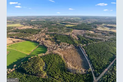 0 Thomas Road, Millen, GA 30442 - Photo 8