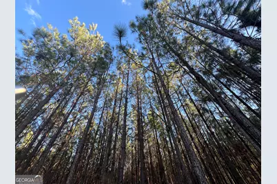 0 Thomas Road, Millen, GA 30442 - Photo 6