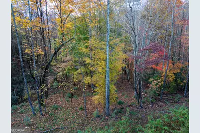 0 Ridge Road, Morganton, GA 30560 - Photo 16